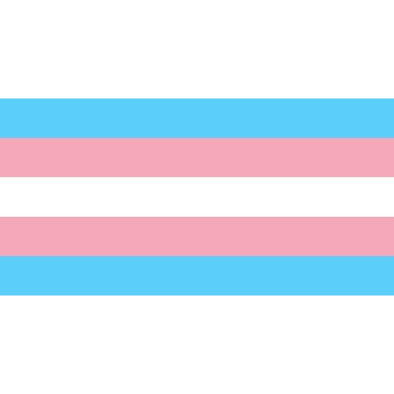 Trans flag