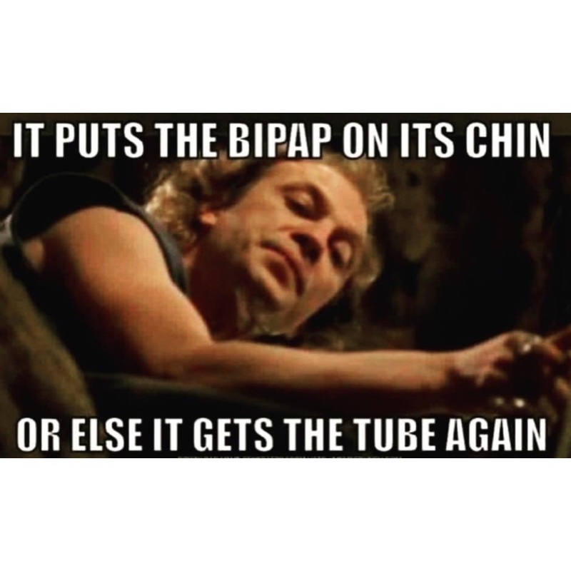 178F0BD1-9186-4CCB-8CBD-D3296D2E2F72