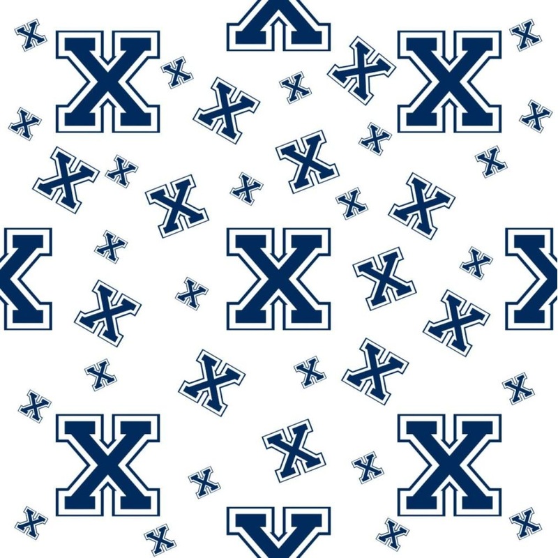 X fabric VTNX59462283